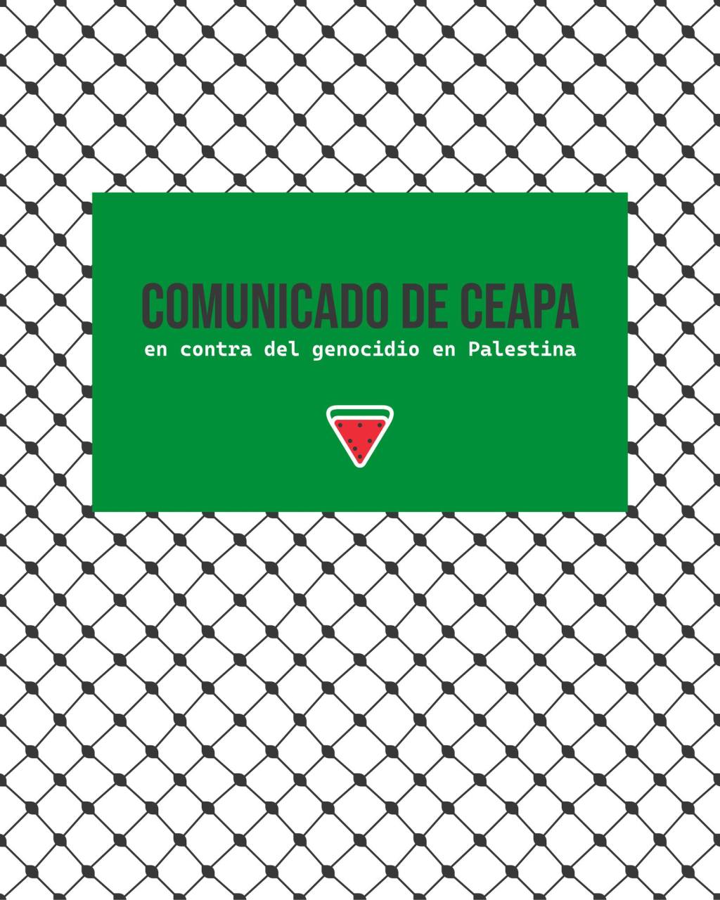 CEAPA, comunicado sobre el genocidio de&nbsp;Palestina.